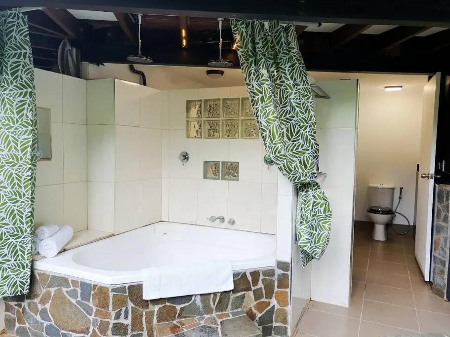 Treeverb Beach House - Daintree Cow Bay Exterior photo
